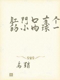 肛门口有个软软的小肉球一摸就疼