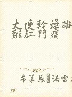 大便干燥排便困难肛门痛