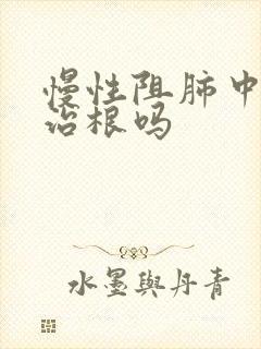 慢性阻肺中医能治根吗