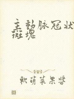 主动脉冠状动脉斑块