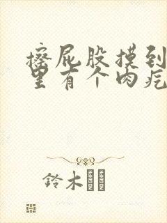 擦屁股摸到肛门里有个肉疙瘩是什么