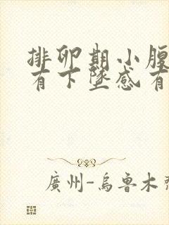 排卵期小腹胀痛有下坠感有大便感