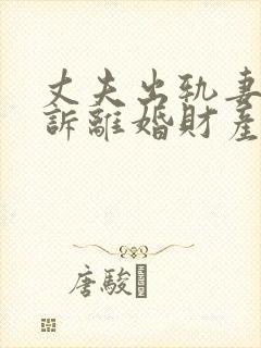 丈夫出轨妻子起诉离婚财产分割