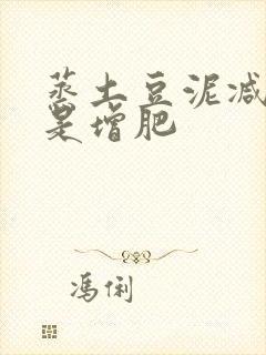 蒸土豆泥减肥还是增肥