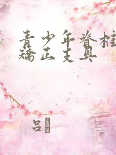 青少年脊椎侧弯矫正支具