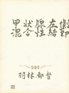 甲状腺左侧叶内混合性结节3类