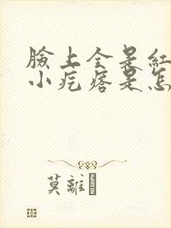 脸上全是红色的小疙瘩是怎么回事