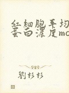 红细胞平均血红蛋白浓度mchc偏低