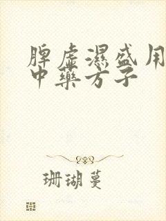 脾虚湿盛用什么中药方子