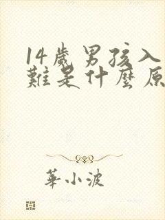 14岁男孩入睡难是什么原因