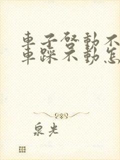 车子启动不了刹车踩不动怎么回事