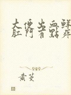 大便出血鲜红色肛门有点疼是什么原因