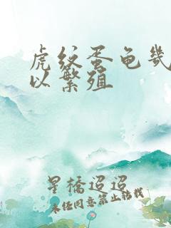 虎纹蛋龟几年可以繁殖