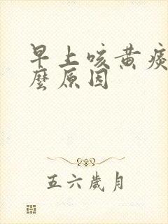 早上咳黄痰是什么原因