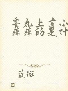 睾丸上有小疙瘩痒痒的是什么