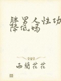 胖男人性功能会降低吗