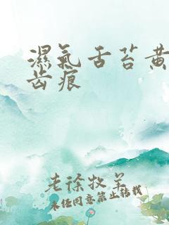 湿气舌苔黄腻有齿痕