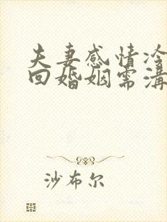 夫妻感情冷淡挽回婚姻需沟通