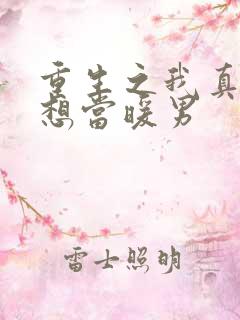 重生之我真的只想当暖男