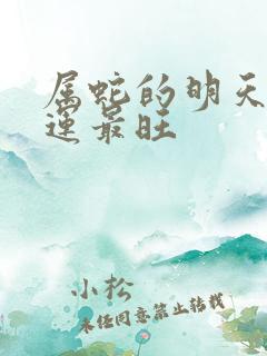 属蛇的明天偏财运最旺