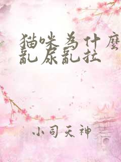 猫咪为什么到处乱尿乱拉