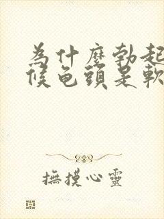 为什么勃起的时候龟头是软的