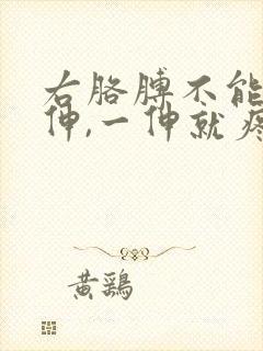 右胳膊不能向后伸,一伸就疼