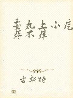 睾丸上小疙瘩不疼不痒