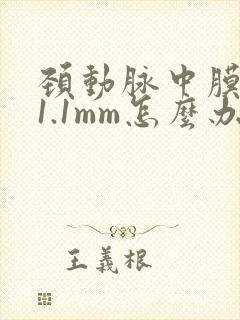 颈动脉中膜增厚1.1mm怎么办