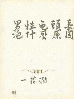 男性龟头长小水泡什么原因