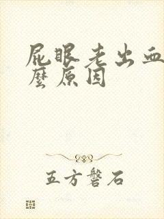 屁眼老出血是什么原因