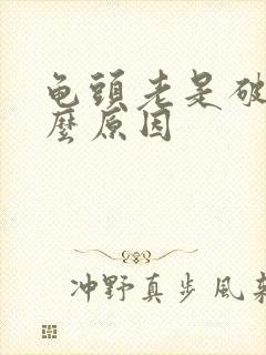 龟头老是破是什么原因