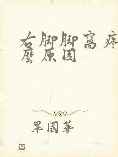 右脚脚窝疼是什么原因