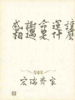 感谢命运让我们相遇是什么歌的歌词