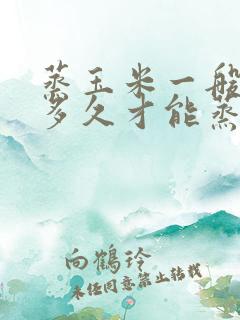 蒸玉米一般要蒸多久才能蒸熟