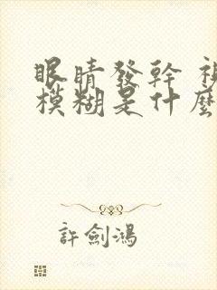 眼睛发干 视力模糊是什么原因