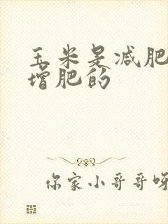 玉米是减肥还是增肥的