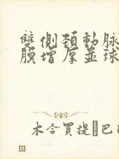 双侧颈动脉内中膜增厚并球部斑块形成