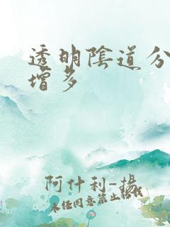 透明阴道分泌物增多