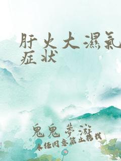 肝火大湿气重的症状