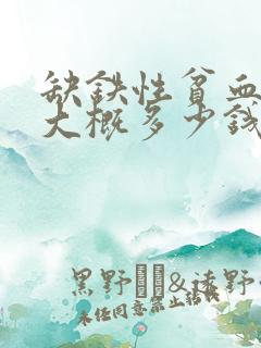 缺铁性贫血输铁大概多少钱