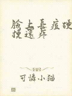 脸上长痘硬硬的摸还疼