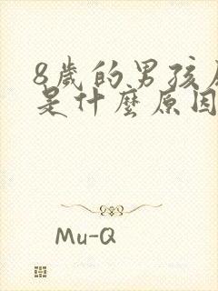 8岁的男孩尿床是什么原因