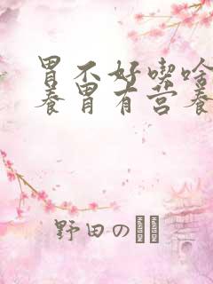 胃不好吃啥东西养胃有营养