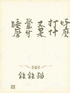 睡觉又打呼噜又磨牙是什么原因