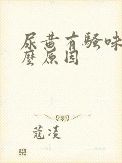 尿黄有骚味是什么原因