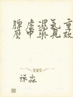 脾虚湿气重吃什么中药见效快