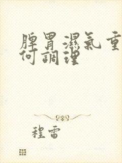 脾胃湿气重该如何调理