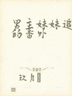 男主妹妹追男二的番外