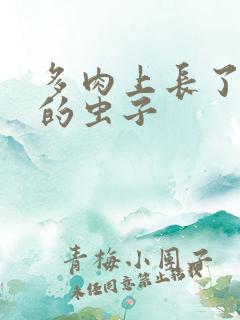 多肉上长了白色的虫子